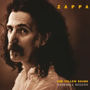 The yellow shark